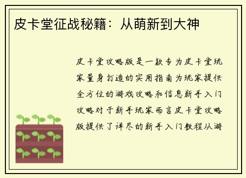 皮卡堂征战秘籍：从萌新到大神
